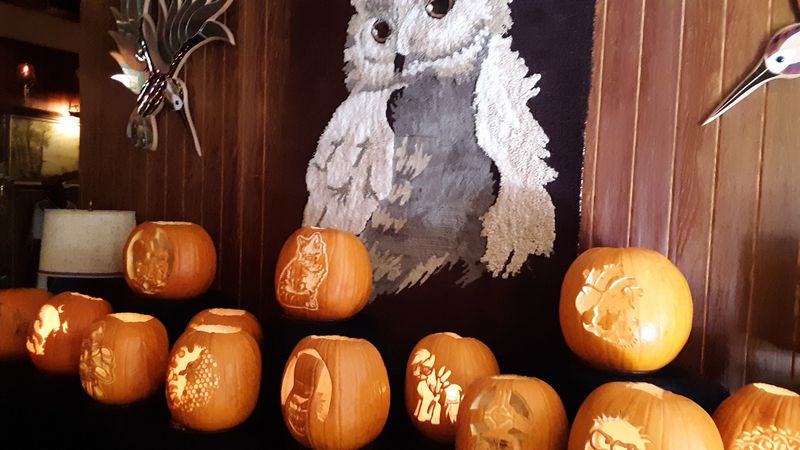 Bird Feeders, Flowers, and Seasonal Pumpkins