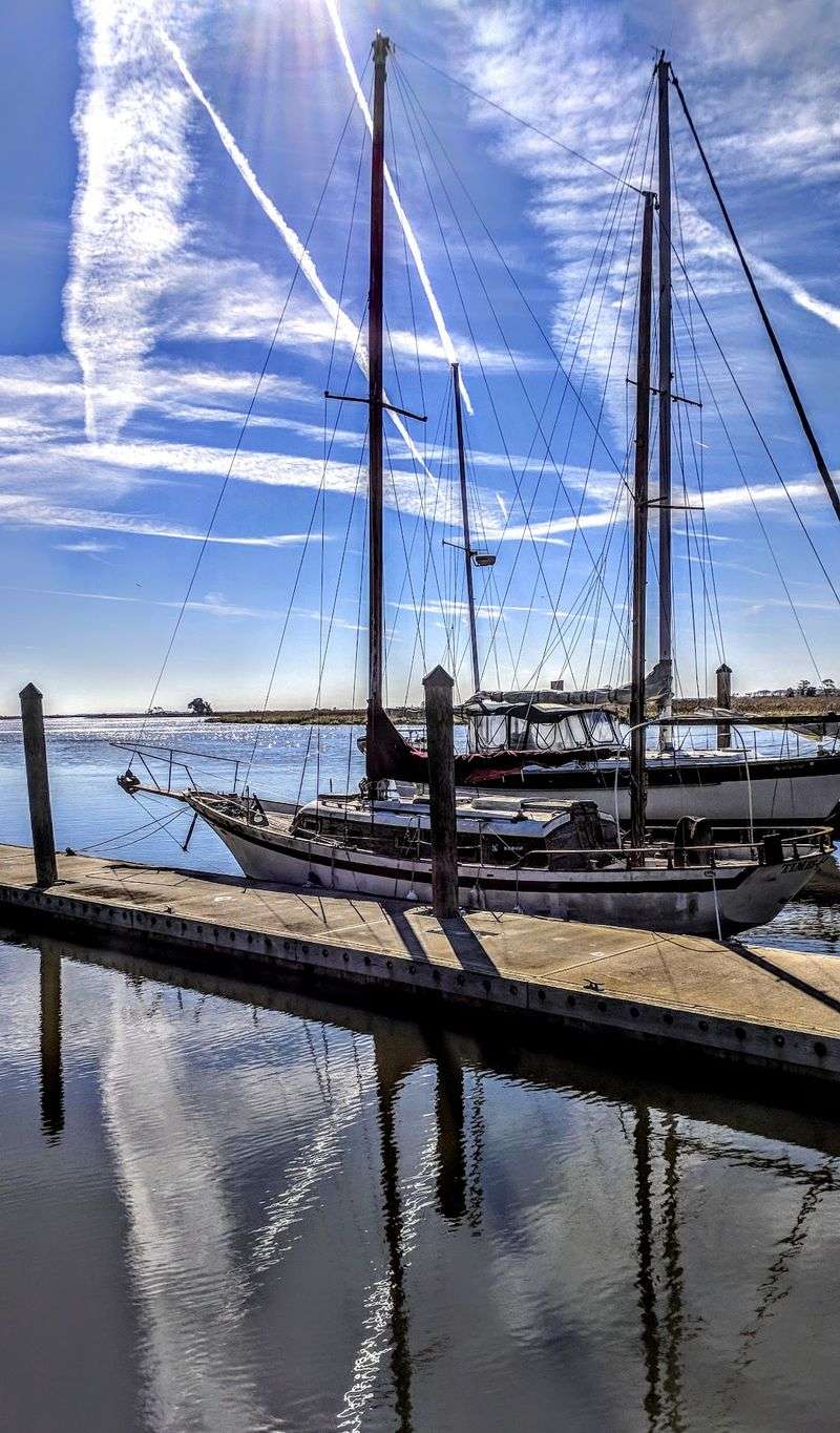Birds, Boats, and a Fishing Line