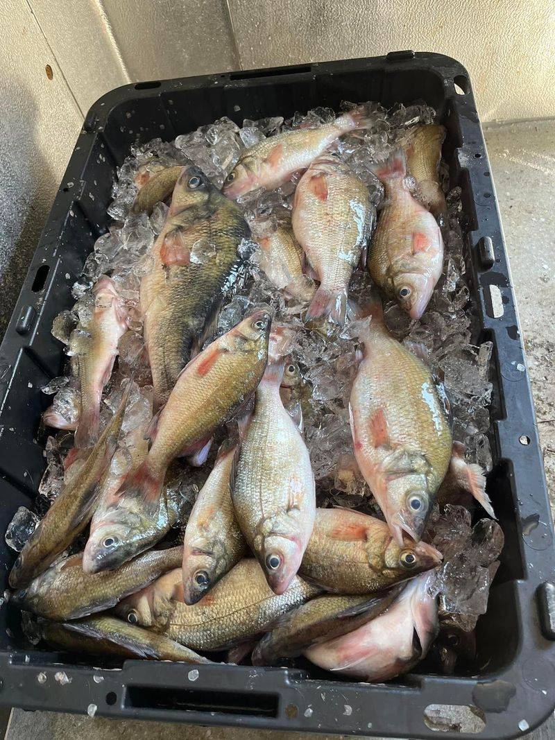 Blue Point Crab Company LLC, Lexington Park, MD