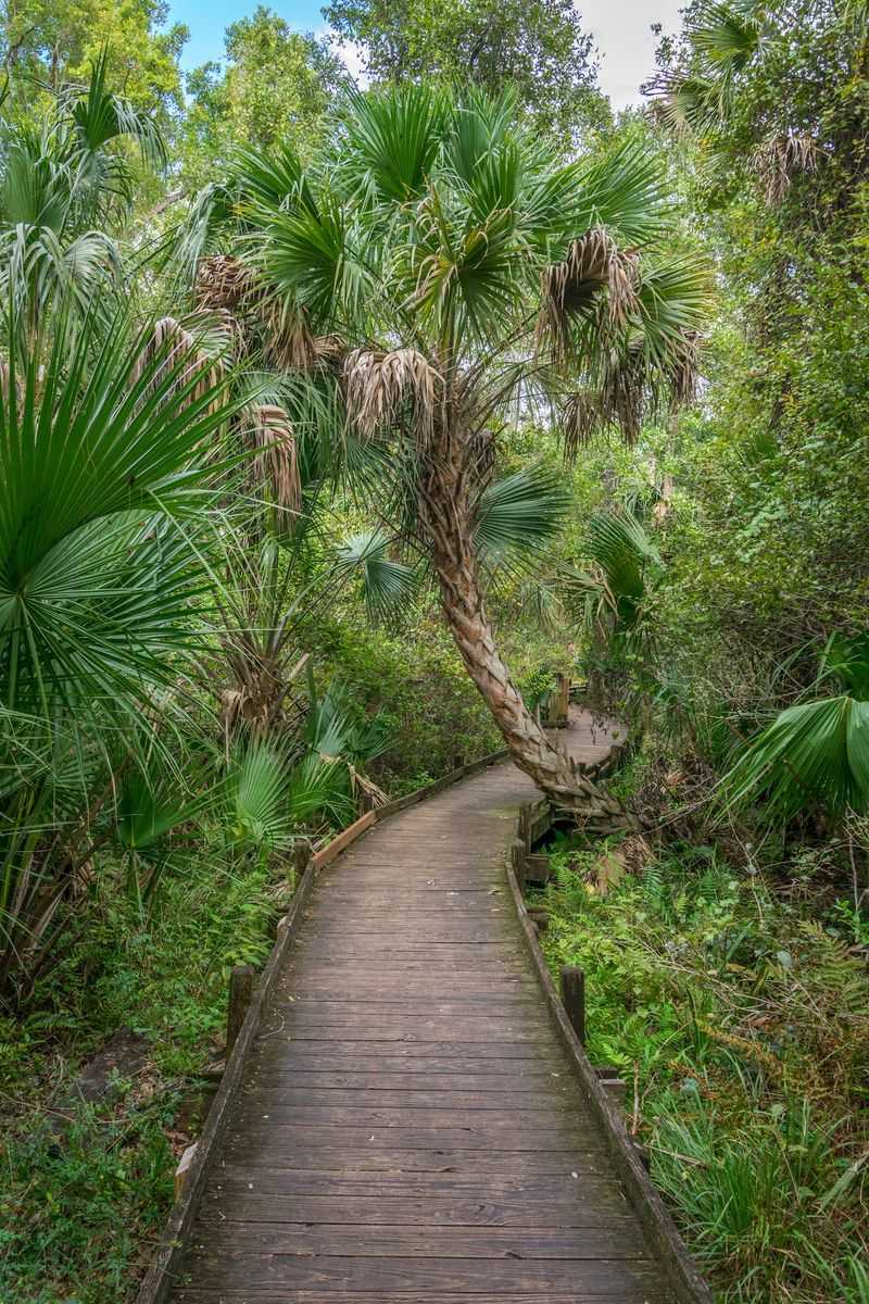 Boardwalk Closures And Honest Expectations