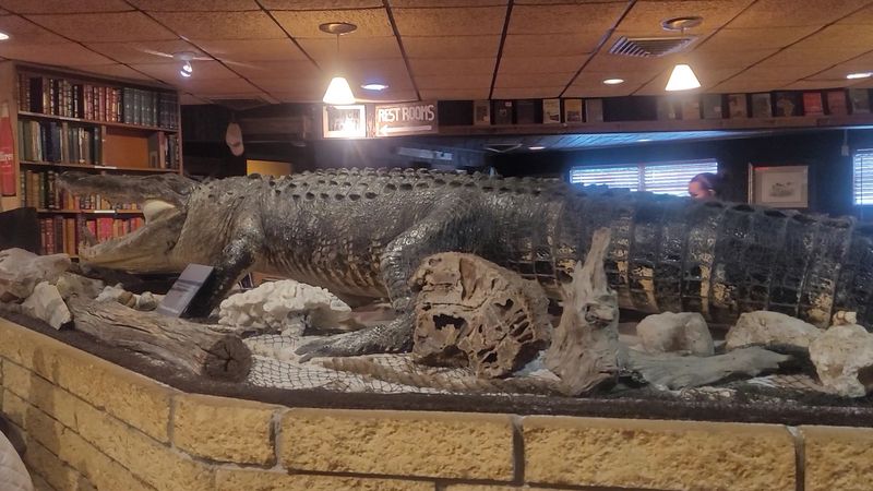 Books, Taxidermy, and a Very Large Gator