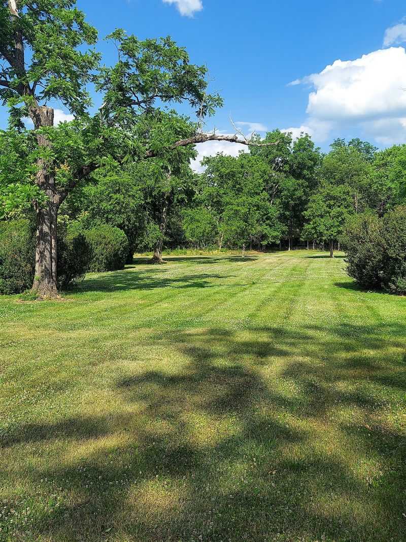 Boxwoods, Benches, and Open Lawns Boxwoods, Benches, and Open Lawns