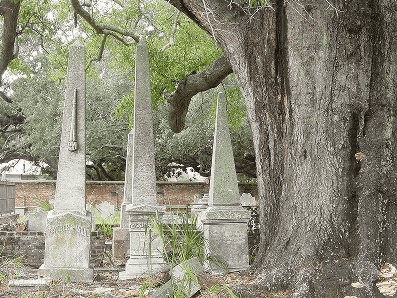Boyington Oak Tree, Mobile, AL