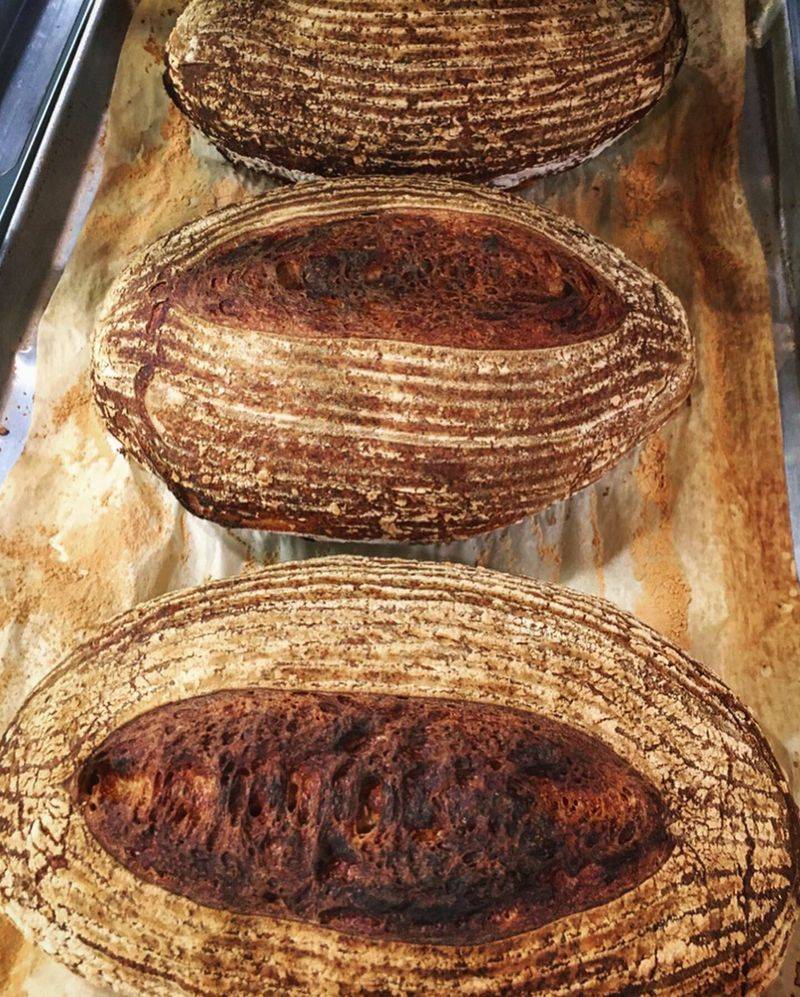 Bread Baked Right Here