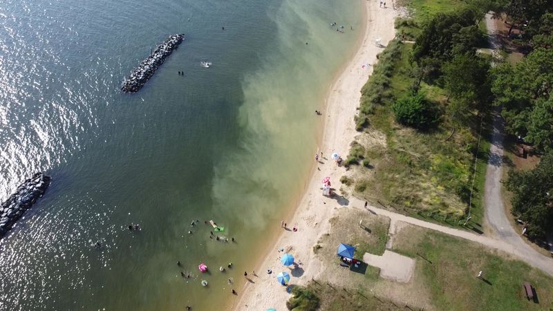 Calm Water And Sandy Shores