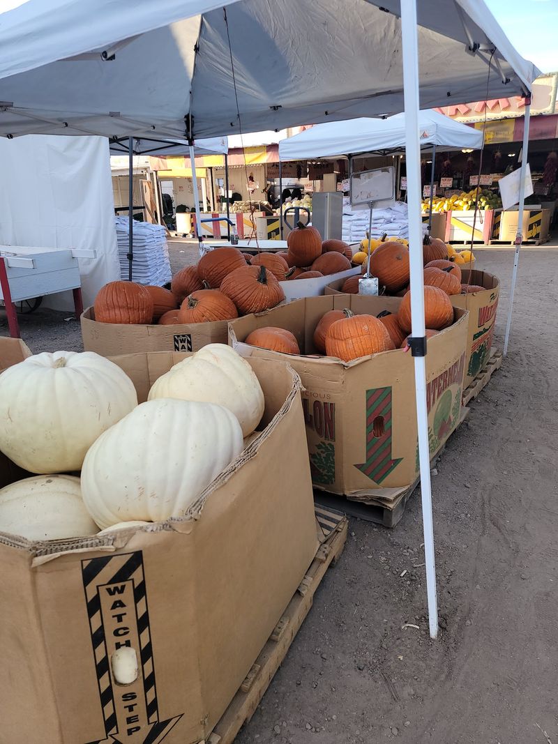 Carriage Rides to the Pumpkin Patch