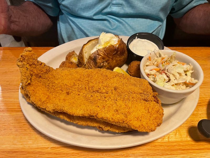 Catfish That Steals the Spotlight