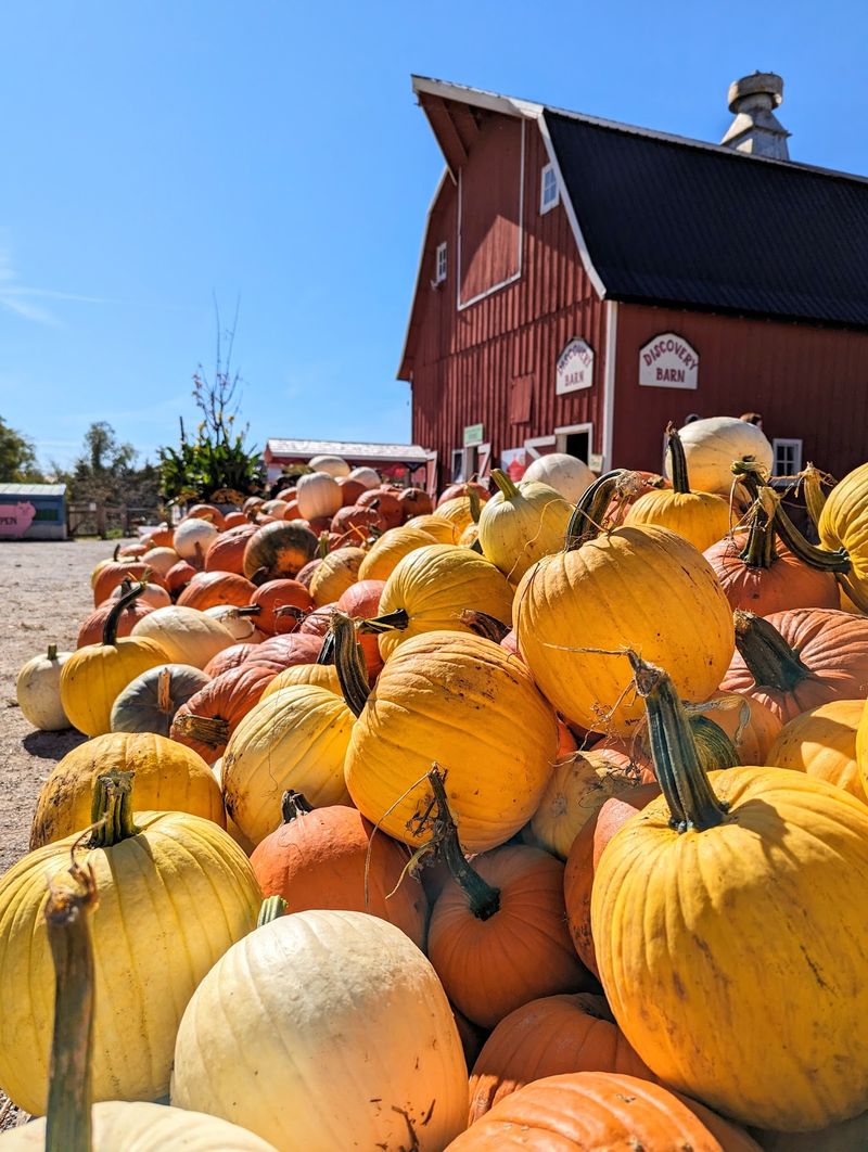 Center Grove Orchard, Cambridge, IA