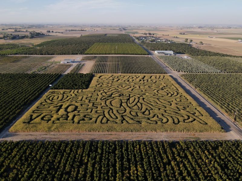 Cherry Hill Farms, Caldwell, ID