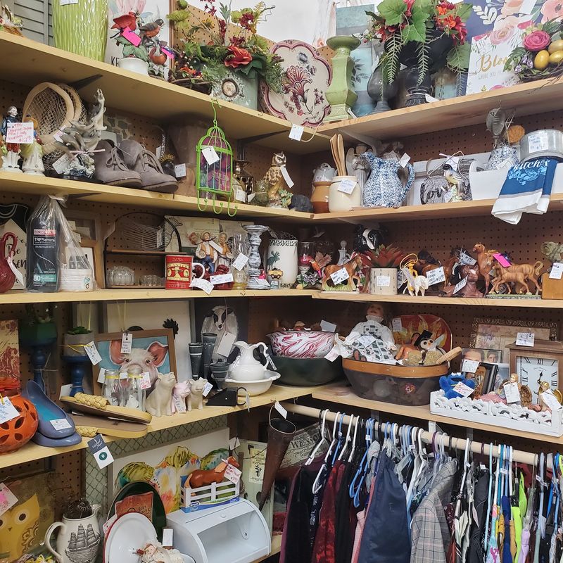 Collectibles With a Loyal Following Collectibles With a Loyal Following