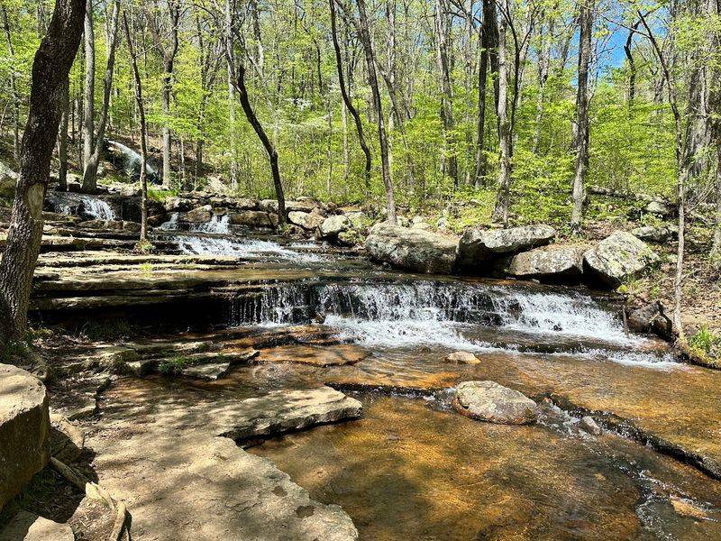 Collins Creek Trailhead, Heber Springs, AR