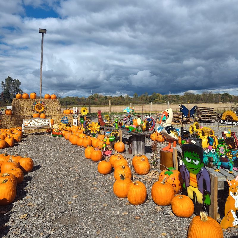 CornFun Corn Maze Adventure And Pumpkin Patch, Casco, MI CornFun Corn Maze Adventure And Pumpkin Patch, Casco, MI