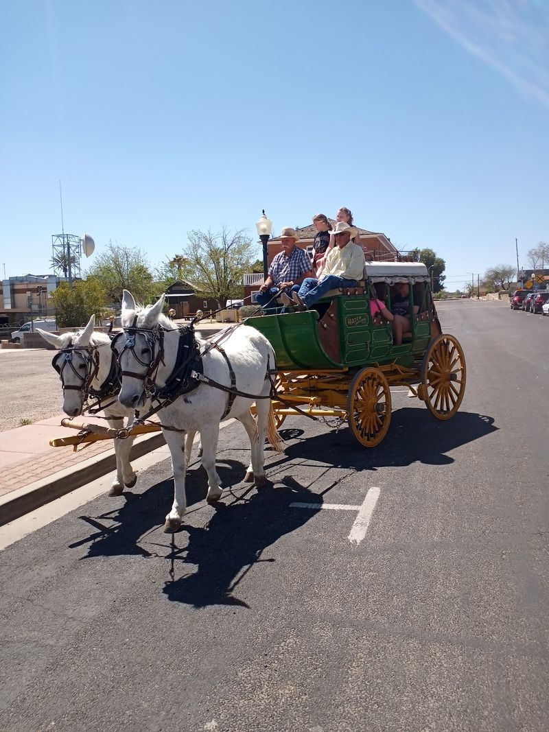 Cowboy Culture That Never Left