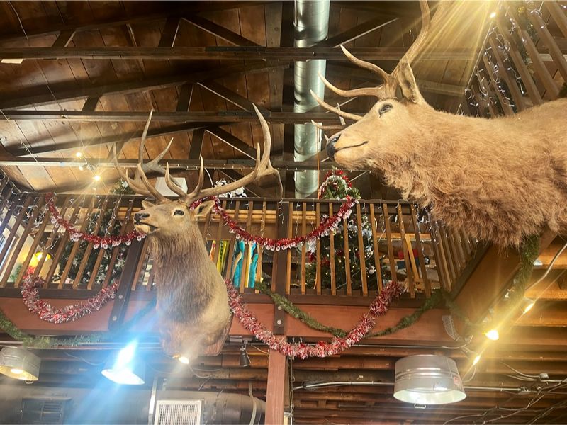 Cowboy Dining Rooms and a Rare White Bat Cowboy Dining Rooms and a Rare White Bat