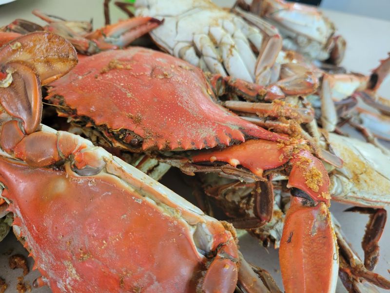 Crabs, Crab Cakes, and the Maryland Test
