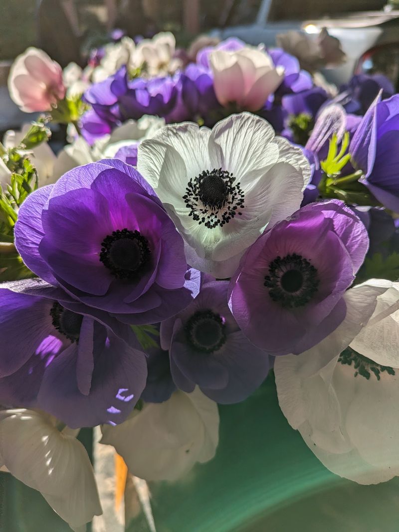 Crafts, Flowers, and Handmade Finds