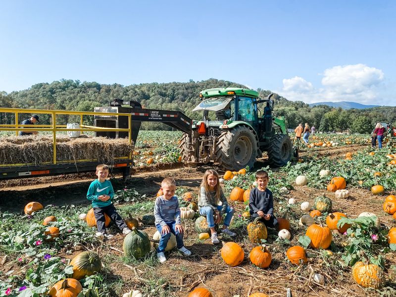 Darnell Farms, Bryson City, NC