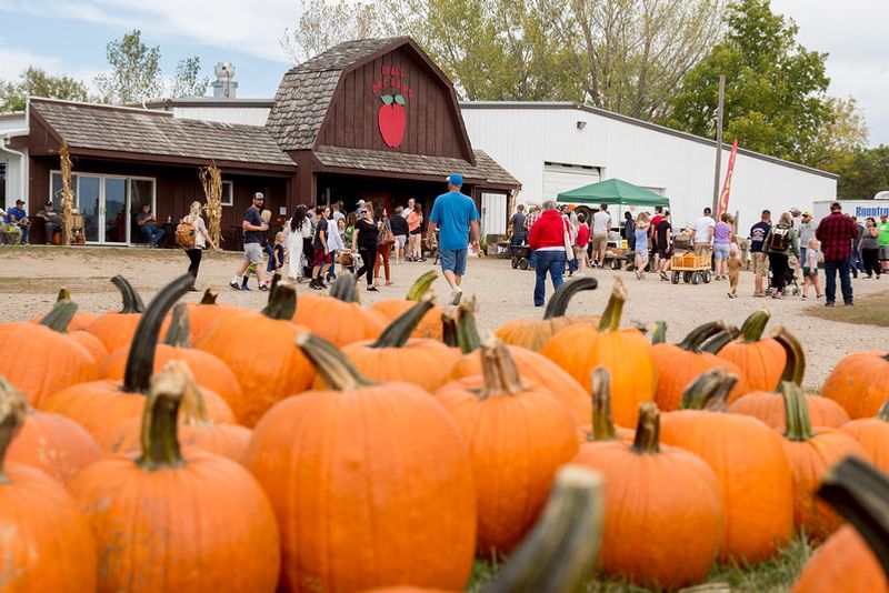 Deal's Orchard, Jefferson, IA