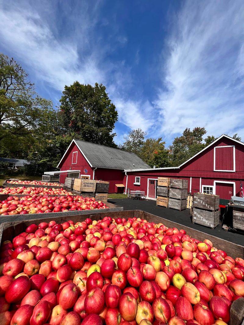 Dexter Cider Mill, Dexter, MI