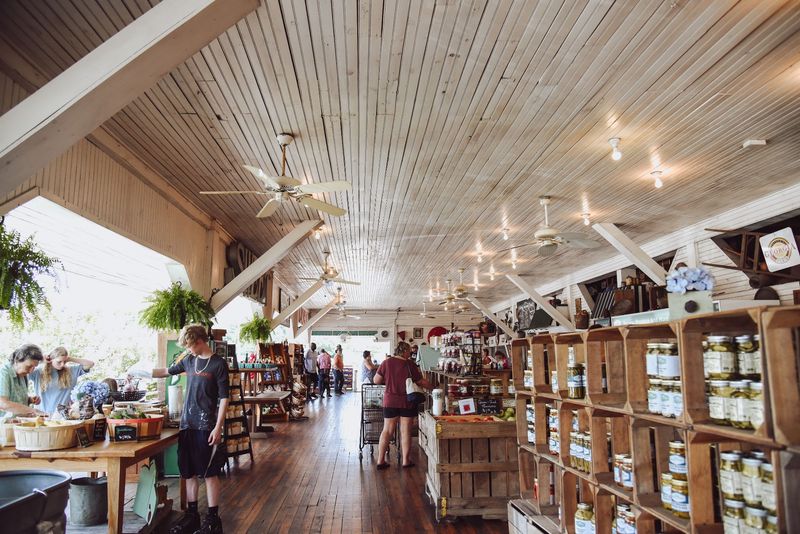 Dickey Farms, Musella, GA