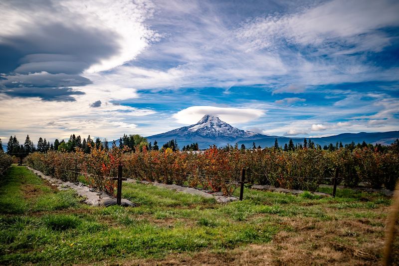 Draper Girls Country Farm, Mt Hood, OR Draper Girls Country Farm, Mt Hood, OR