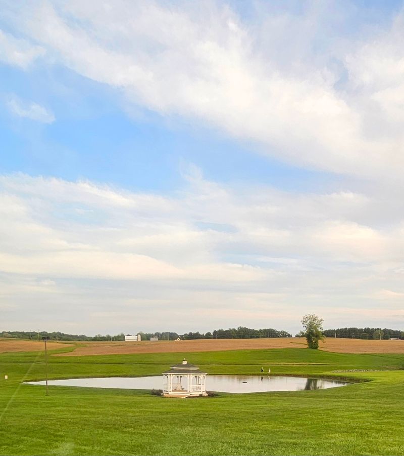 Ducks, Ponds, and a Scoop to Finish Ducks, Ponds, and a Scoop to Finish