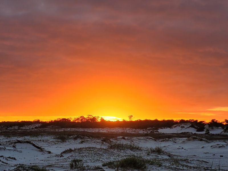 Dunes That Defy Florida Expectations Dunes That Defy Florida Expectations