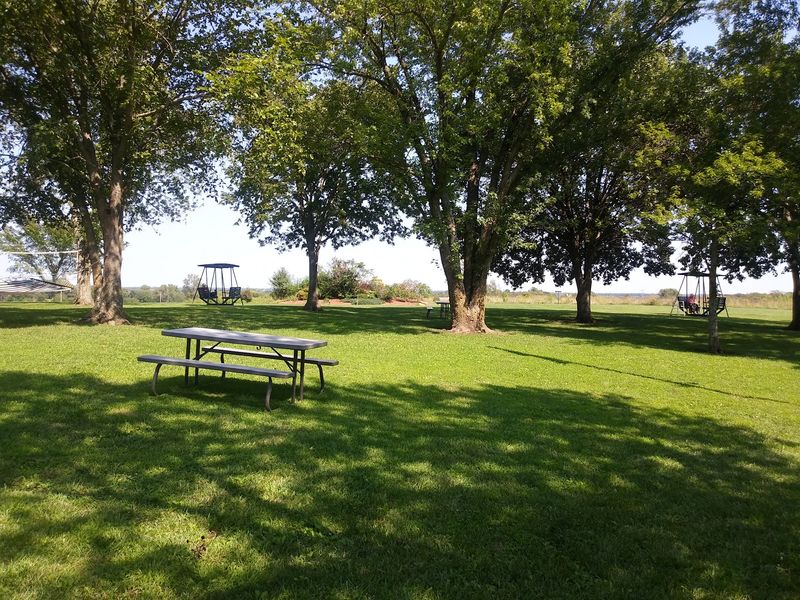 Eighteen Holes Of Disc Golf