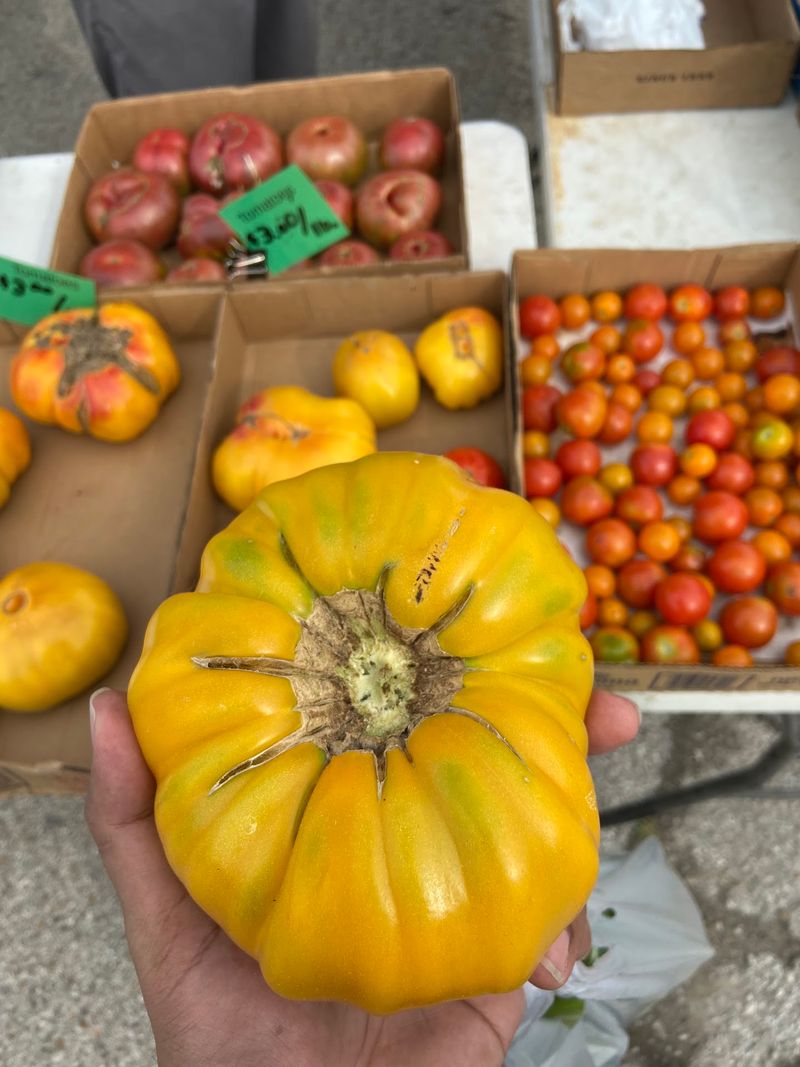 Emporia Farmers Market, Emporia, KS