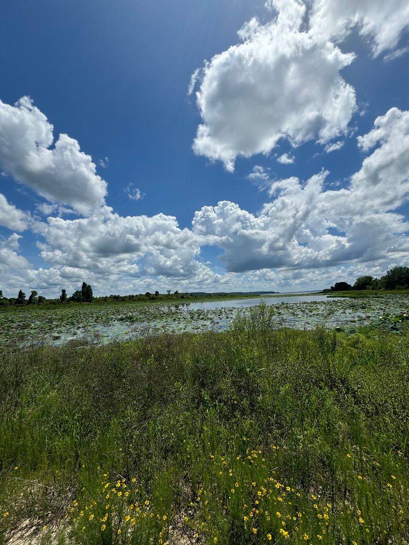 Eufaula National Wildlife Refuge, Eufaula, Alabama