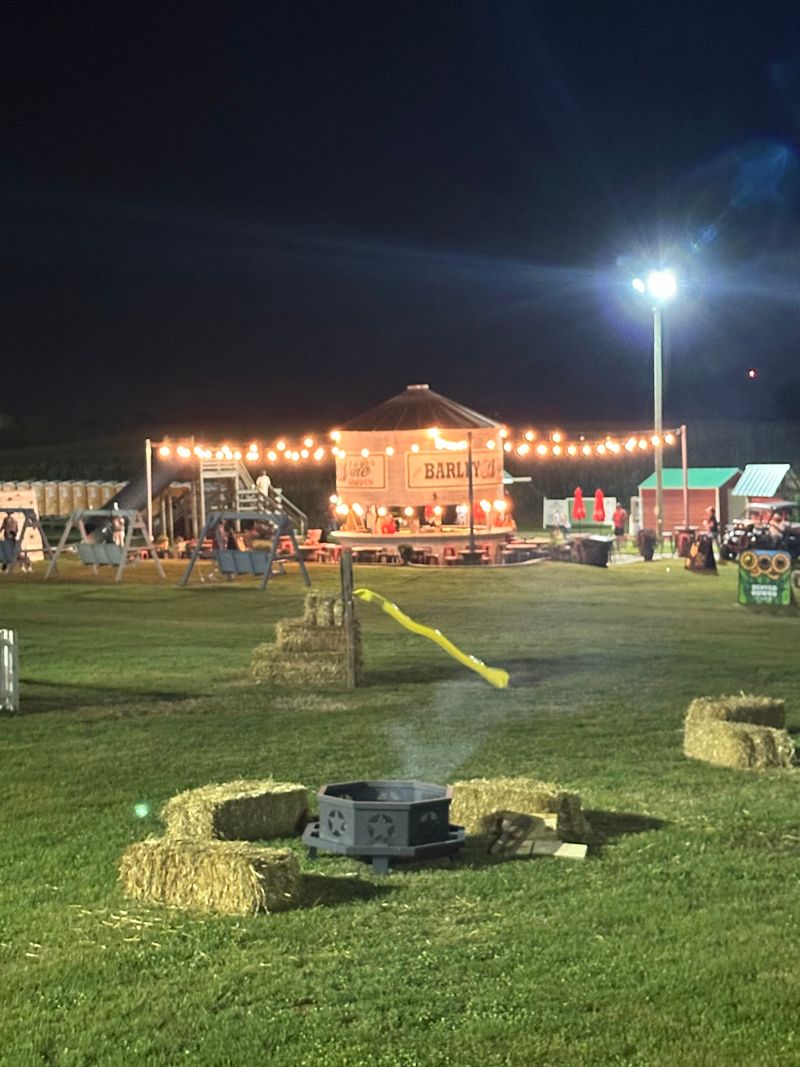 Evenings by the Bonfire With Live Music Evenings by the Bonfire With Live Music