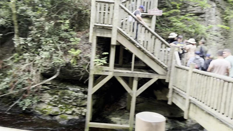 Families, Kids, and Four-Legged Hikers