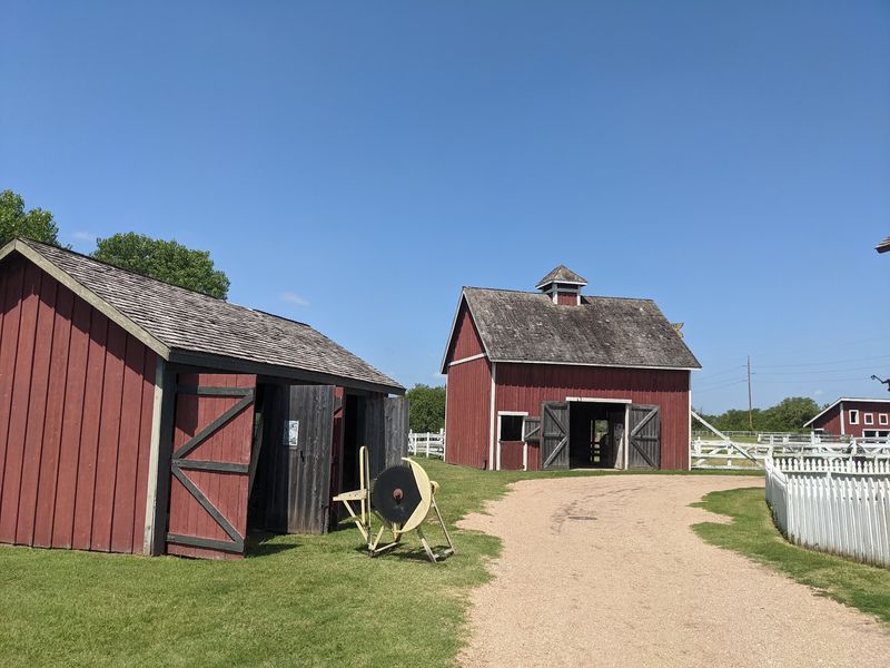 Farm Life and Four-Legged Locals