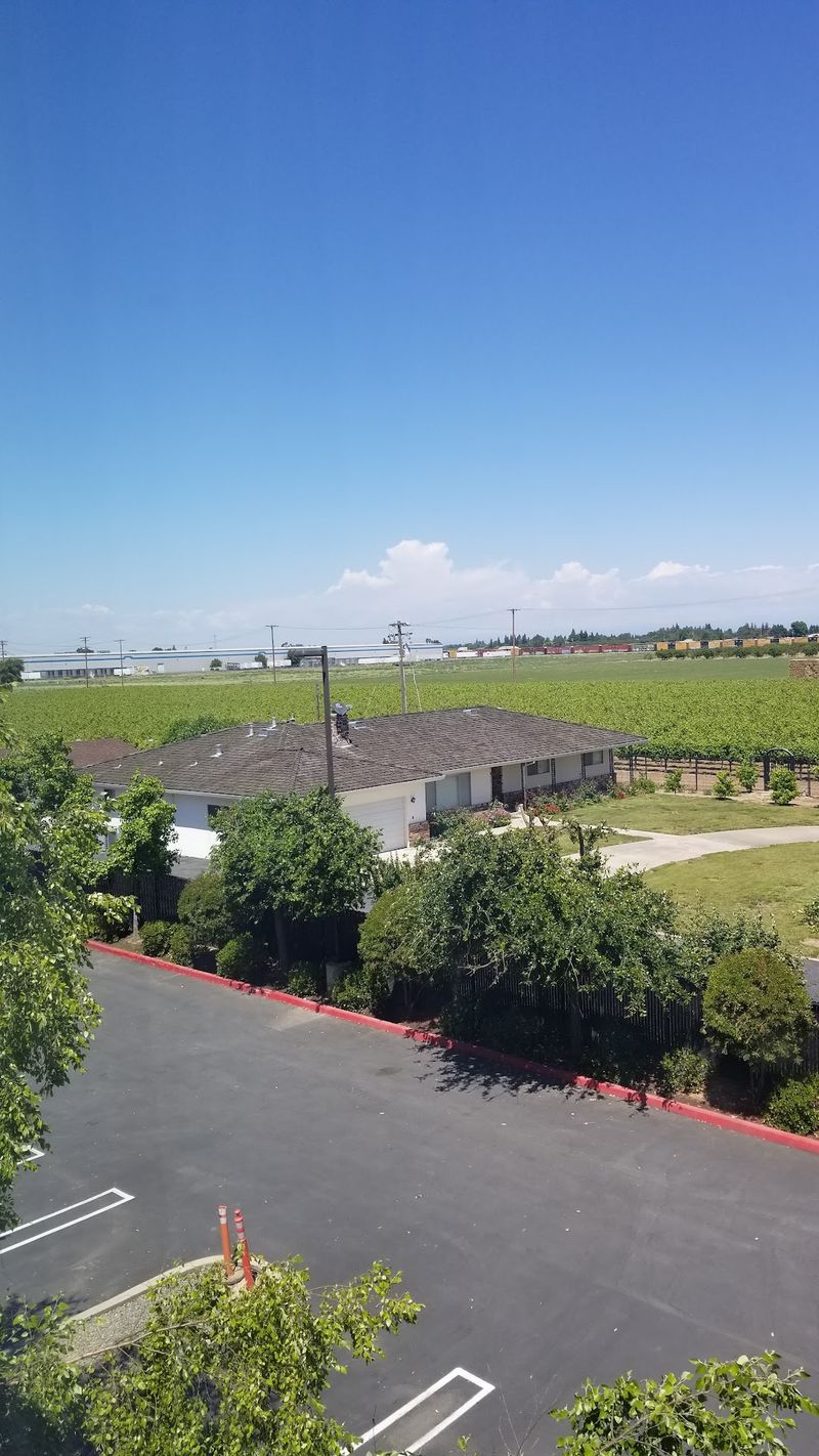 Farm Roots That Shape the Town
