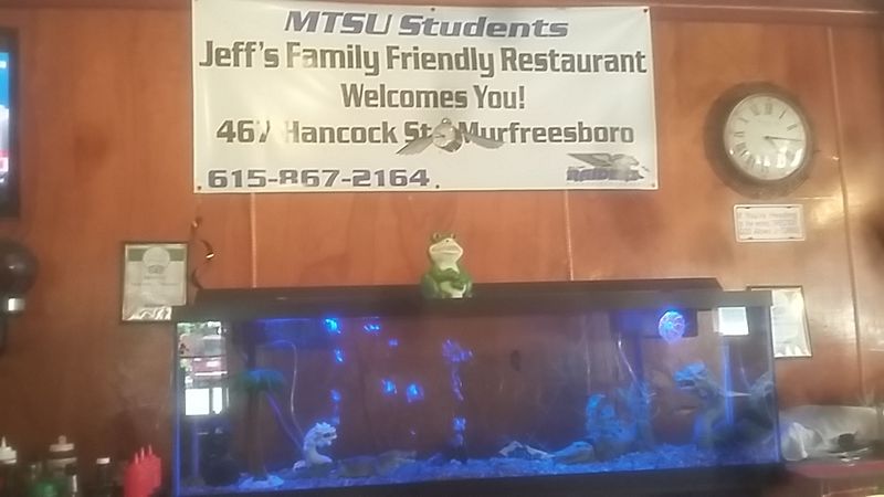 Fish Tanks, TikTok Fame and Other Surprises