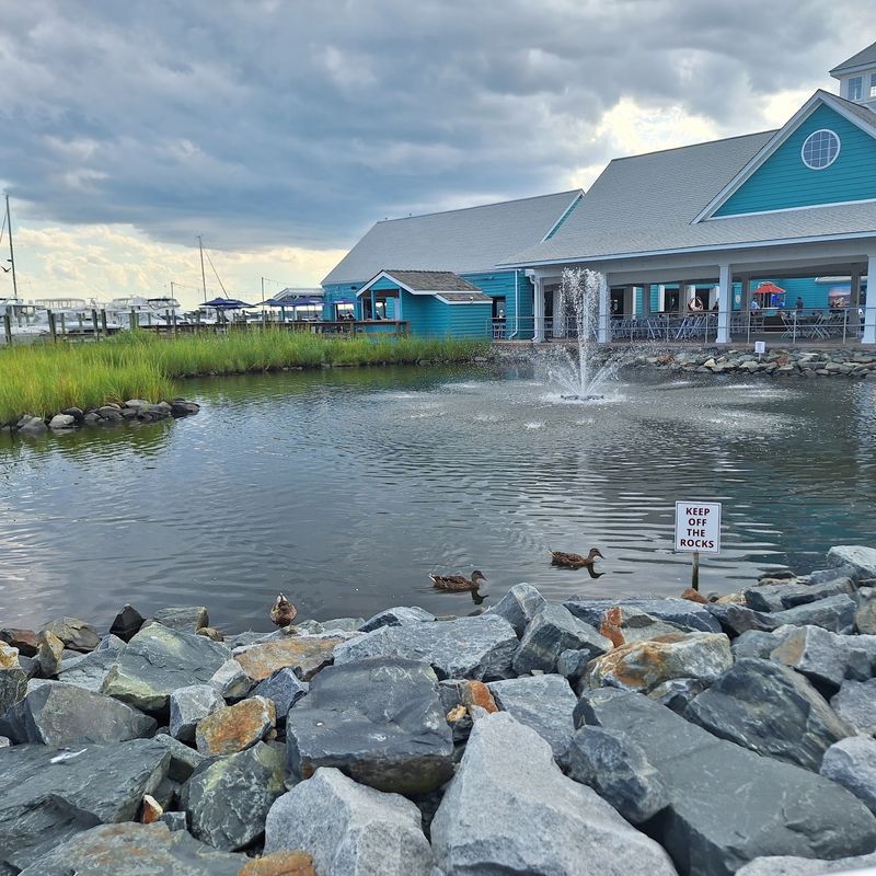 Fisherman's Inn Restaurant, Grasonville, MD