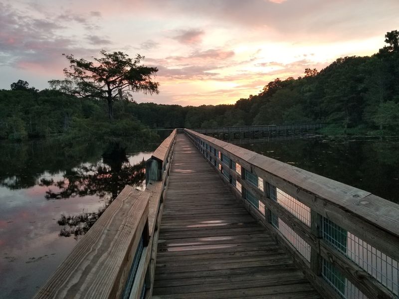 Fishing Piers And The Bridge Alligator