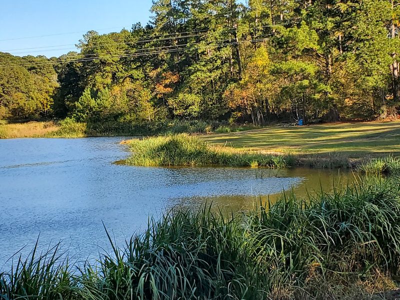 Fishing, Ponds, and Open Space Fishing, Ponds, and Open Space