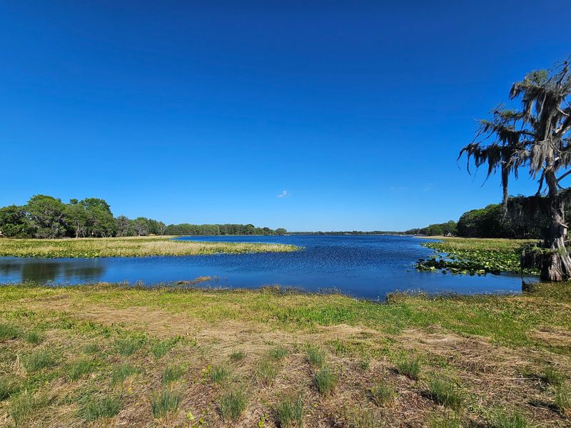 Flying Eagle Preserve Next Door