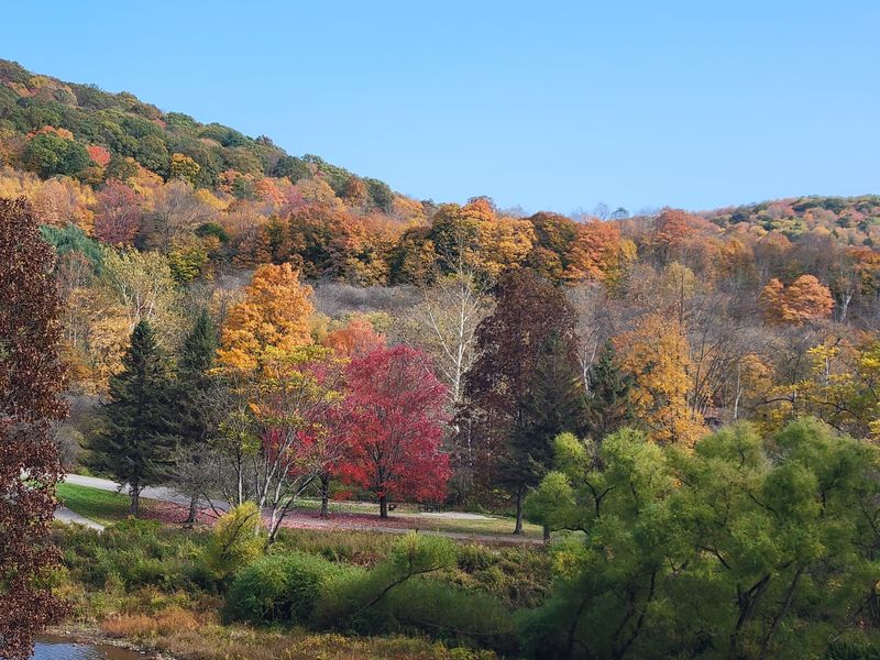 Forest County Surroundings