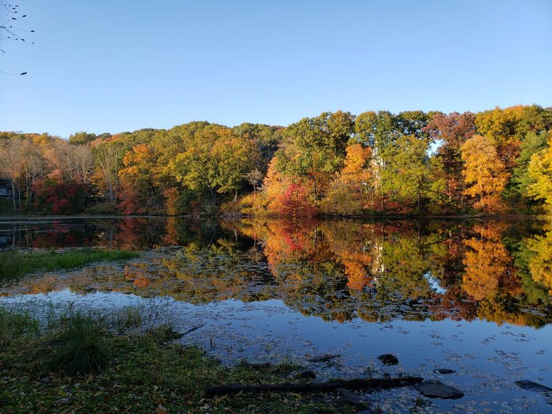 Four Seasons, Four Different Towns Four Seasons, Four Different Towns