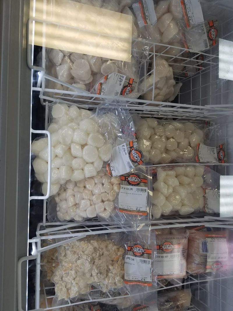 From Crayfish to Shark in the Freezer