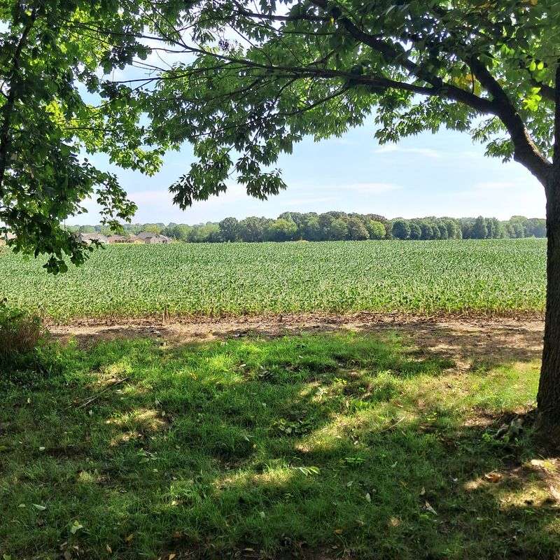 From School Grounds to Farm Fields