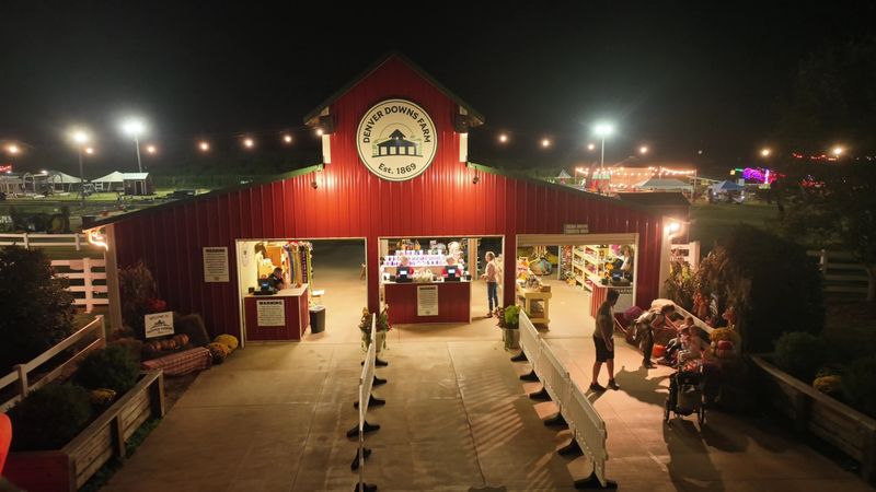 Funnel Cakes, Corn Dogs, and Kettle Corn Funnel Cakes, Corn Dogs, and Kettle Corn