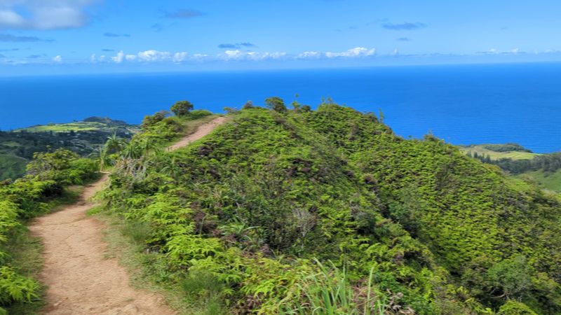 Green Ridges Meeting An Endless Blue Ocean Green Ridges Meeting An Endless Blue Ocean