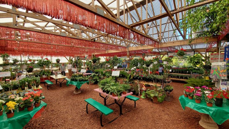 Green Thumbs Welcome Here Green Thumbs Welcome Here