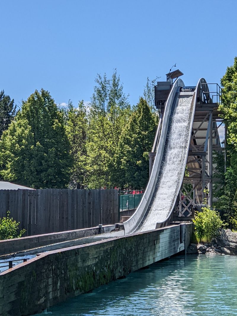 Greenery Between the Coasters