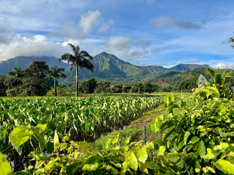 Hanalei, Kauai