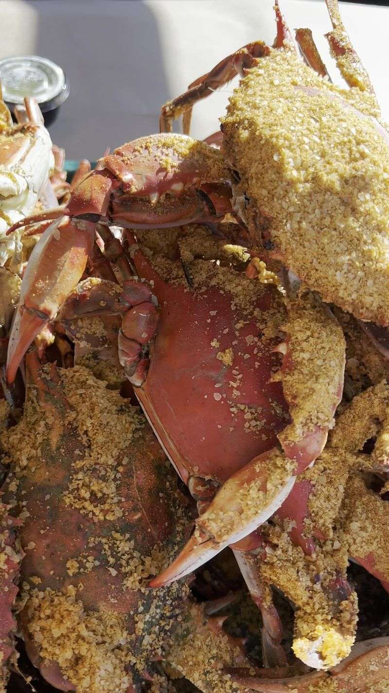 Harris Crab House, Grasonville, MD