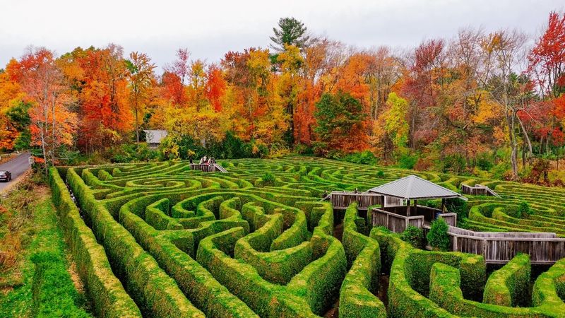 Hay Wagons and the Big Monster Maze Hay Wagons and the Big Monster Maze